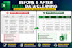 do microsoft excel data entry, data cleaning and formatting