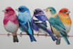 draw birds illustration for you