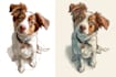 illustrate a pet portrait into cartoon disney