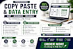 do professional copy paste work and excel data entry