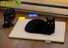 build computer vision project with yolo, python, opencv