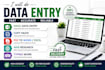 do accurate data entry, copy paste, excel data entry