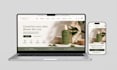 a professional shopify store