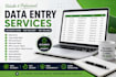 do accurate data entry, excel data entry, copy paste and web research