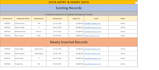 professionally format and organize your excel spreadsheets