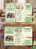 design creative both hindi and english pamphlet and logo