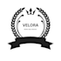 create a professional  canva logo design