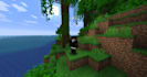 play minecraft java edition with you