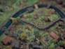 make your fantasy map illustration arts