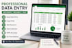 do accurate data entry, copy paste, web research, and excel data