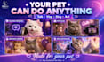 create custom ai pet videos from photos