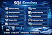 write, fix and optimize sql queries professionally