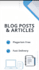 write professional urdu articles and blog posts