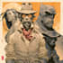 create custom comic cover