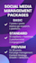 manage your instagram facebook and create canva posts