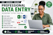 do accurate data entry copy paste web reserch and typying