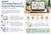 write SEO blog posts, articles, and website content
