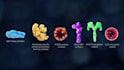 create 3d medical animation moa pharmaceutical biotech molecular explainer video