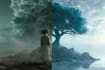 creatively edit, retouch and composite