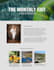 set up your flodesk email marketing for real estate agents