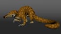do 3d modelling, rigging, and animation