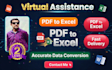 do accurate excel data entry, copy paste, web research virtual assistant