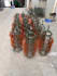 source chinese manufacturers and develop custom products