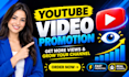 do super fast organic youtube video promotion