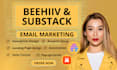 creazione e gestione newsletter professionale su beehiiv e substack