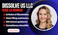 dissolve your US llc, close your business properly and avoid future issues