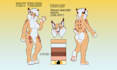 anthro ref sheet fursona character reference sheet nsfw furry reference sheet