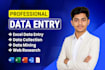 do fast and accurate data entry, copy paste and web research
