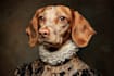create a pet portrait into cartoon disney