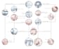 architectural poster and maps