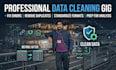do excel data entry and data cleaning