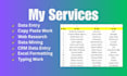 be your virtual assistant for data entry, copy paste, and excel work