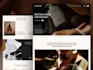 create a luxury website,portfolio website or business website