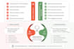 translate and proofread documents accurately