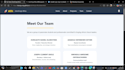 build a professional responsive business brochure website