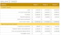 prepare professional financial statements in excel