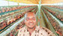 create a professional poultry farm business plan