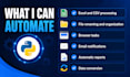 automate repetitive excel, file or browser tasks with python