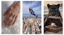 create luxury ai jewelry reels for social media