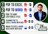 convert PDF to excel and word with ocr in 24 hours