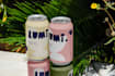 design a professional beverage can packaging