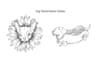 create a custom dog tattoo design