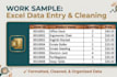 do professional data entry and copy paste work