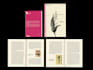format and layout your book for print or ebook