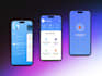 develop a professional flutter mobile app
