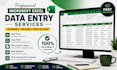 do microsoft excel data entry, copy paste, typing and web research